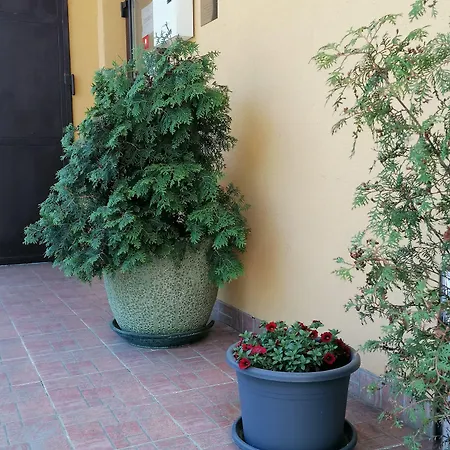 Otel Arko 3*